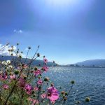 【マンション】◯◯◯マンション 303号室